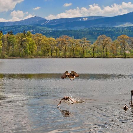 Pokoje Bukowiec Folwark I Park Exteriér fotografie